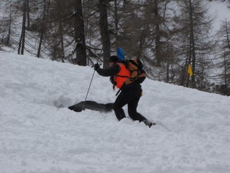 Pokazna vaja Reševanje iz snežnih plazov - Vršič 2015